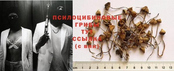 марки lsd Чердынь